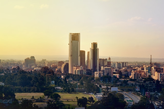 Social dynamics and operational resilience in Kenya