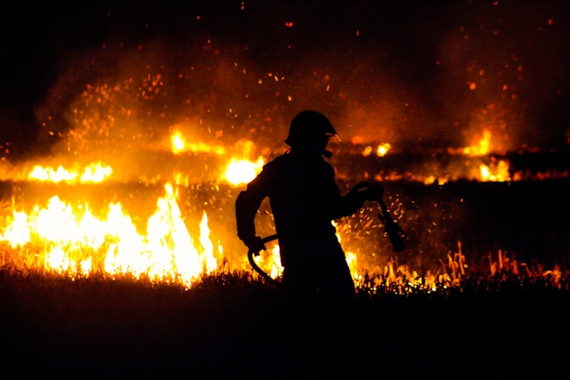 Record wildfires in Southern Europe